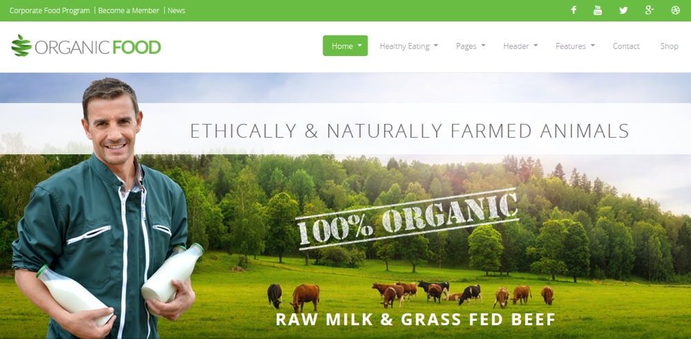 Tema de WordPress ecológico de alimentos orgánicos