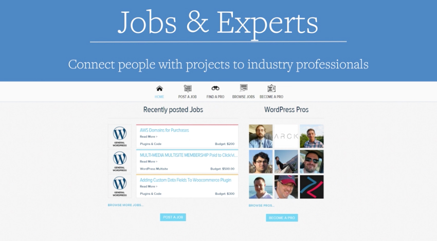 Complemento wpmu Dev Jobs & Experts