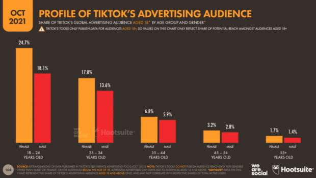 perfil de la audiencia publicitaria de TikTok
