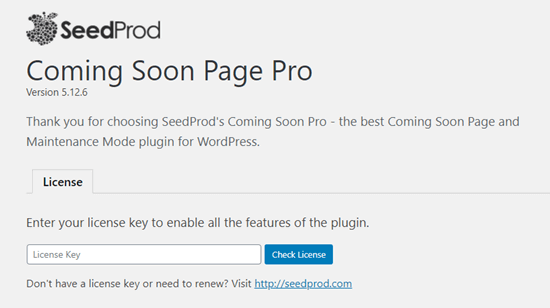 Ingrese su licencia de SeedProd.  Puede encontrar esto en el área de su Cuenta en el sitio de SeedProd.