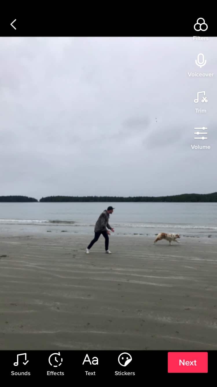 hombre en la playa con perro