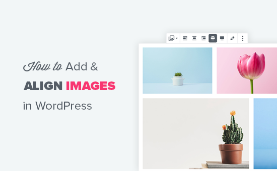 Agregar y alinear correctamente imágenes en WordPress