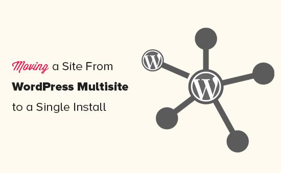Dividir un sitio de WordPress multisitio a instalación única