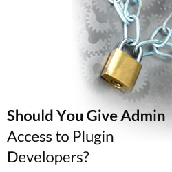 ¿Deberia dar acceso de administrador a los desarrolladores de complementos