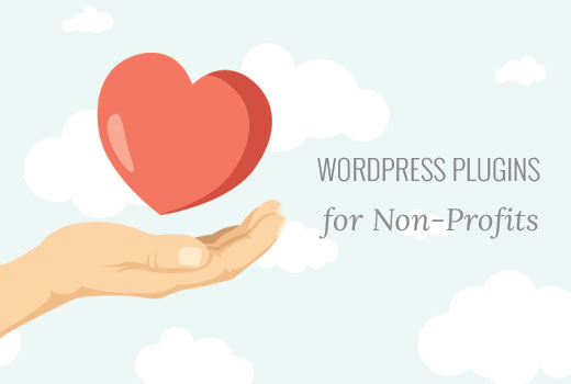 16 mejores complementos de WordPress para organizaciones sin fines de