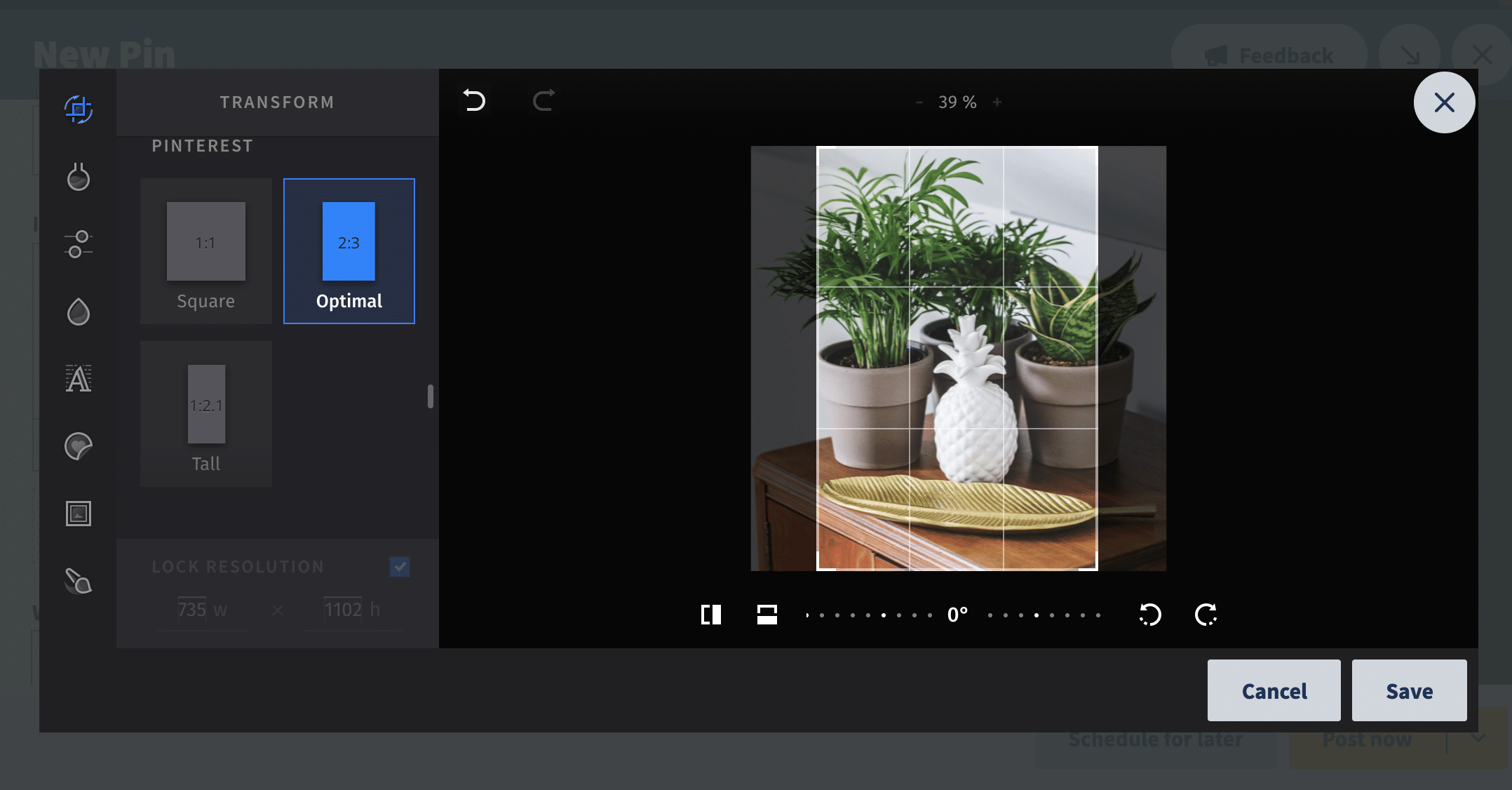 editar imagen de plantas