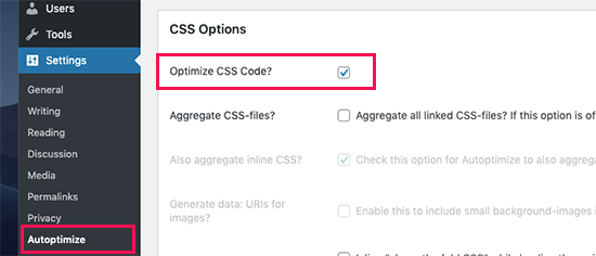 Optimizar CSS en Autoptimize