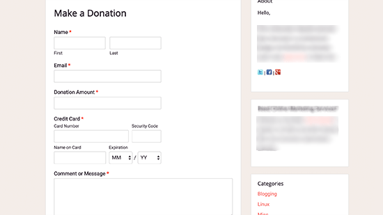 Vista previa del formulario de donación de Stripe