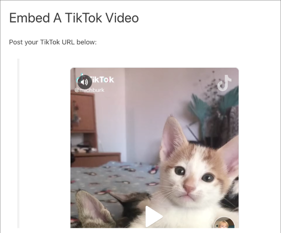 Video de TikTok incrustado