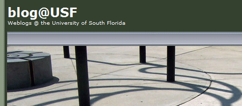 Universidad de Florida del Sur