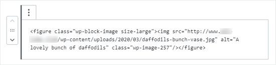 El código HTML de la imagen.