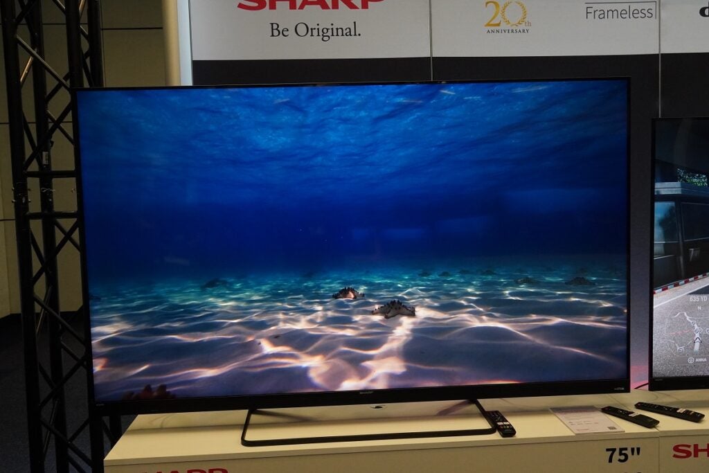 Imagen subacuática Sharp EQ TV