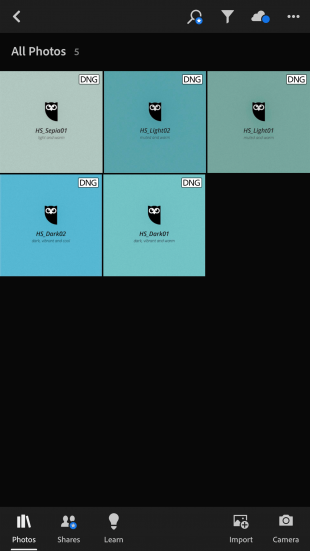 5 archivos preestablecidos (como DNG) en la aplicación Lightroom.  Aparecen como cuadrados azules con Owly en el centro + título del archivo.