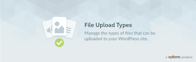 Tipos de carga de archivos por WPForms