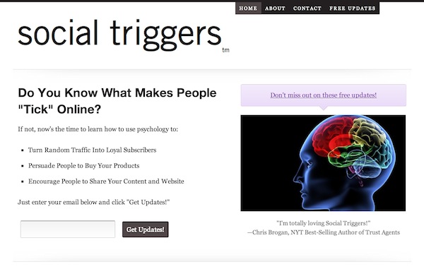 Una captura de pantalla de la página de inicio de Social Triggers.