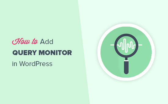 Agregar un monitor de consultas de WordPress