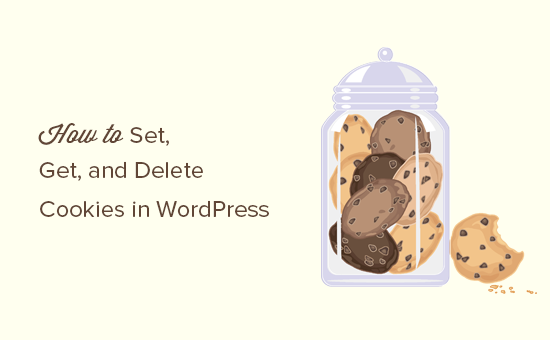 Cómo configurar, obtener y eliminar cookies en WordPress