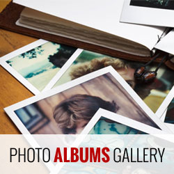 1641338176 Como crear una galeria de fotos con albumes en WordPress