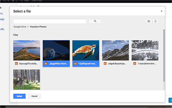 Seleccione los archivos que desea importar desde Google Drive