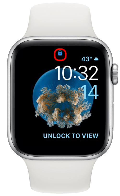 icono de candado azul en Apple Watch