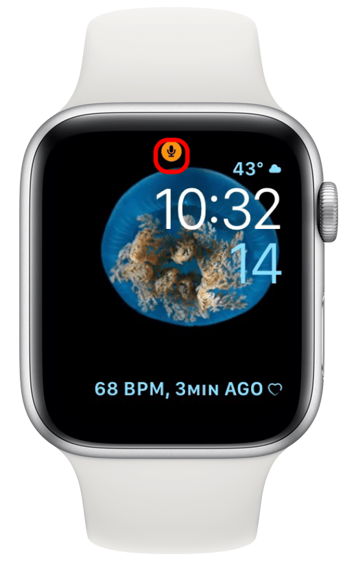icono de micrófono naranja en Apple Watch
