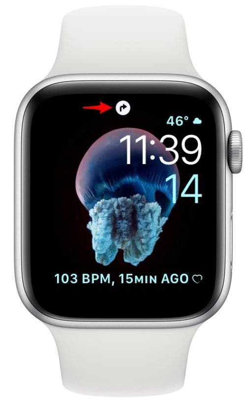 gire el ícono de la flecha derecha en el Apple Watch