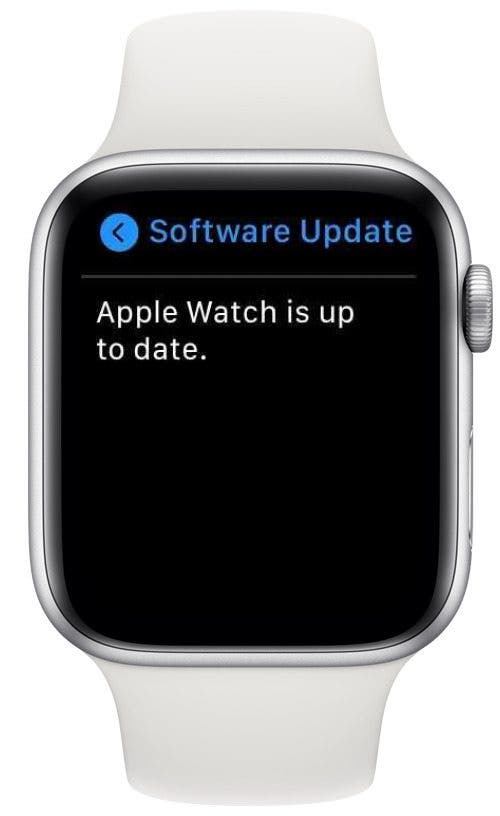 Apple watchOS actualizado