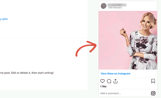 Foto de Instagram incrustada en la barra lateral de WordPress