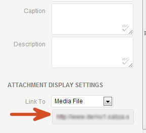 Copiar ubicación de archivo en Media Uploader