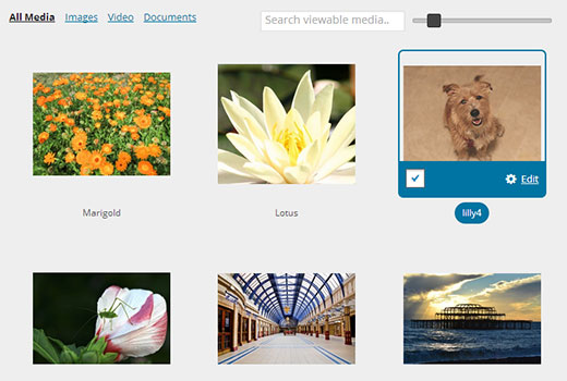 Imágenes en la biblioteca de medios de WordPress mostradas en una cuadrícula