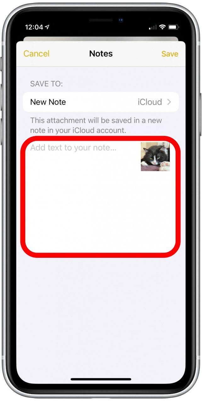 fotos secretas iphone: el menú Compartir foto en Notas con el campo de texto resaltado
