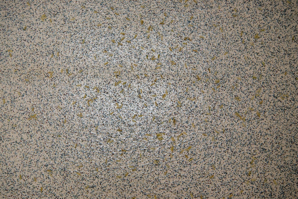 Aspiradora inalámbrica 2 en 1 de Beldray (BEL01088ALFOB) para limpiar suelos duros