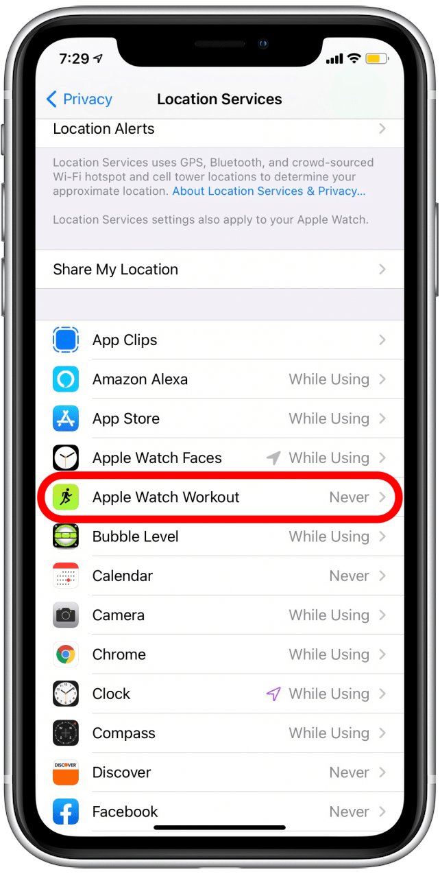 Desplácese hacia abajo y toque Entrenamientos de Apple Watch. 