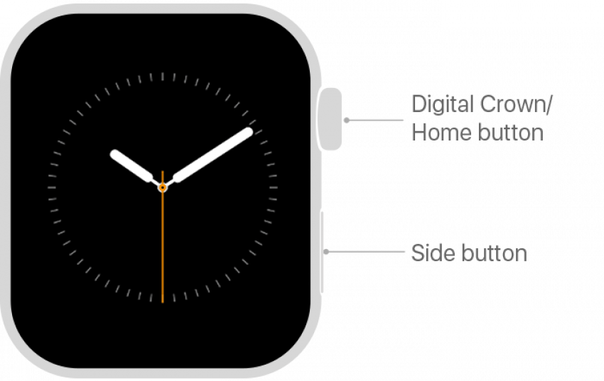 Presiona el botón de inicio en tu Apple Watch - Imagen de soporte de Apple