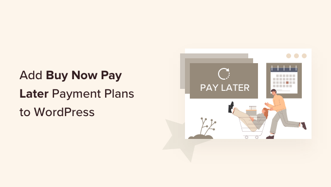 Cómo agregar comprar ahora pagar planes de pago más tarde a WordPress