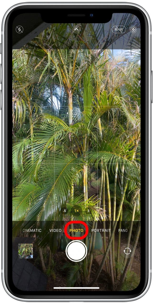 Siri abrirá la aplicación Cámara en tu iPhone en modo foto en tu cámara trasera. 
