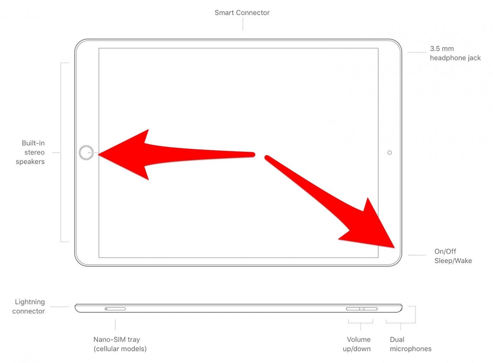 las flechas rojas indican cómo se utilizan el botón de inicio y el botón de reposo/activación para tomar capturas de pantalla en el iPad 
