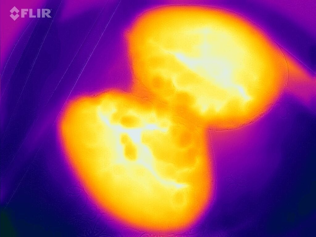 Mapa térmico de patata asada tras 8 minutos en el Hisense H28MOBS8HGUK