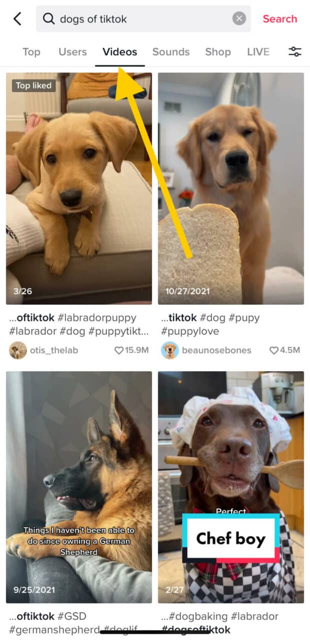 Perros de resultados de búsqueda de la pestaña Videos de TikTok