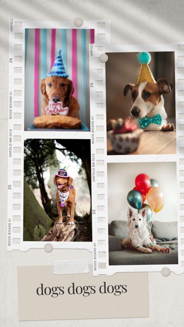 crea una nueva historia de Instagram y selecciona una imagen de collage