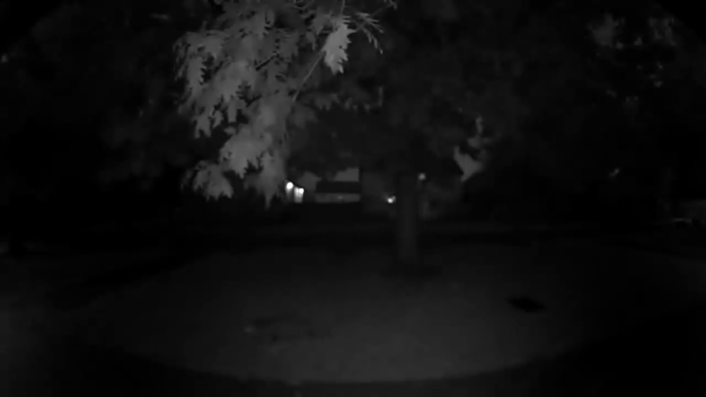 Muestra nocturna de Blink Video Doorbell