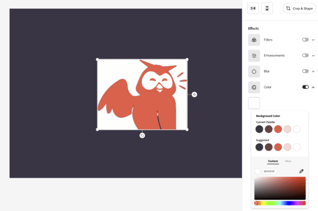 cambiar el color de fondo en la imagen de owly adobe express