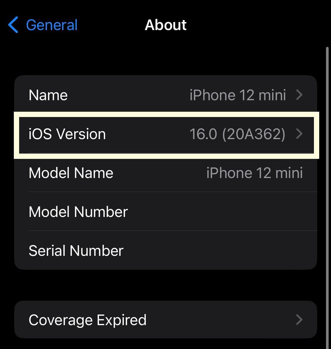 Botón de versión de iOS en iOS