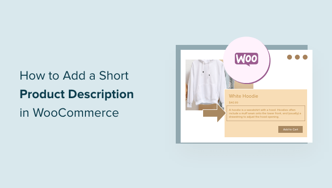 Cómo agregar una breve descripción del producto en WooCommerce