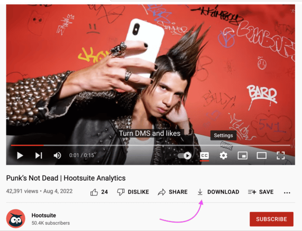Punk's not dead Video de descarga de Themelocal Analytics