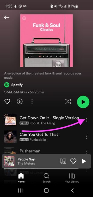 icono de puntos suspensivos verticales Lista de reproducción de Spotify