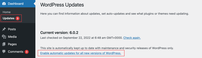 Habilitar actualizaciones automáticas de WordPress