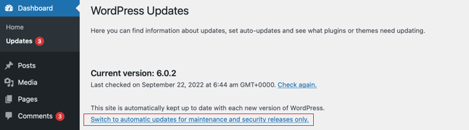 Deshabilitar las actualizaciones automáticas de WordPress excepto las actualizaciones de seguridad