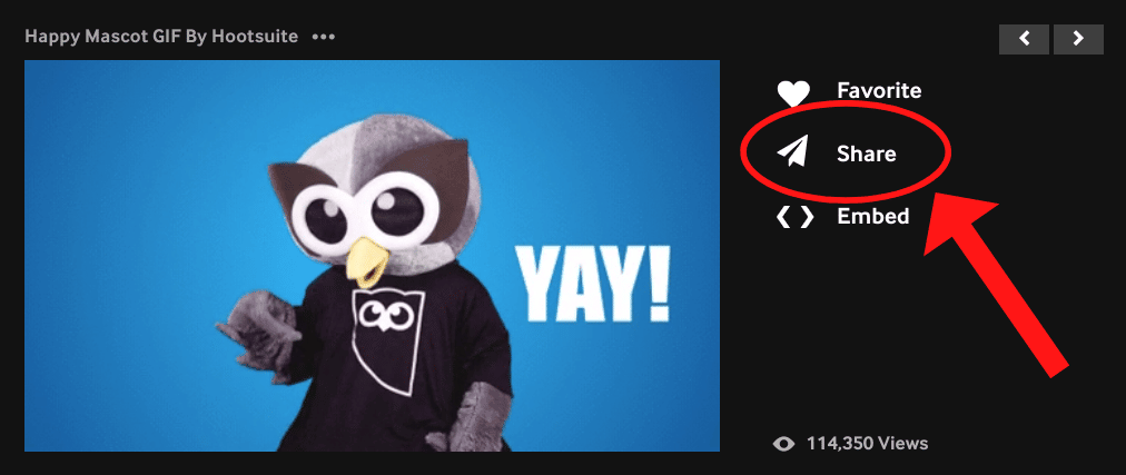 icono de compartir en el lado derecho del GIF de Owly