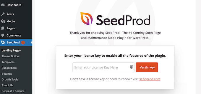 Introducción de la clave de licencia de SeedProd